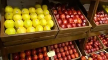 تحركات جديدة في أسعار الخضراوات والفاكهة داخل أسواق الإسكندرية اليوم الاثنين